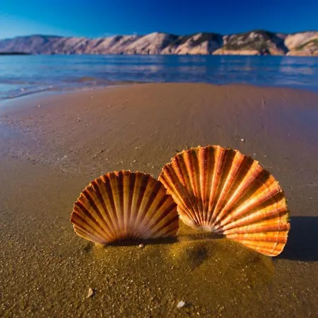 In With Sea View, Terrace, Air Conditioning, Wifi 4552-6 Apartman