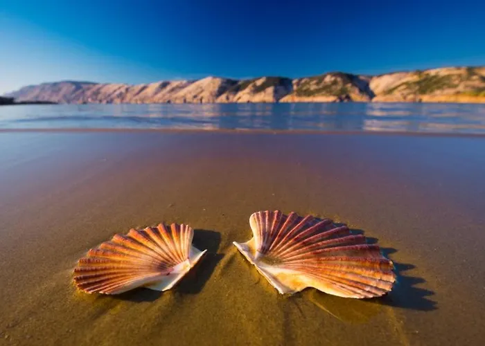 Daire In With Sea View, Terrace, Air Conditioning, Wifi 4552-6 Supetarska Draga