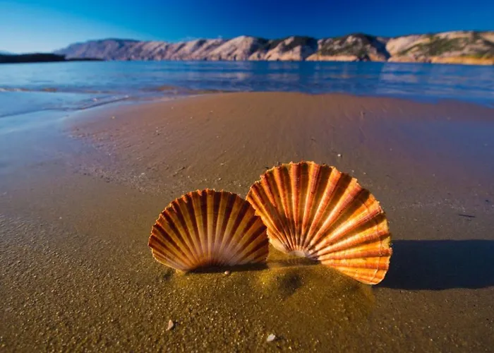 In With Sea View, Terrace, Air Conditioning, Wifi 4552-6 Daire